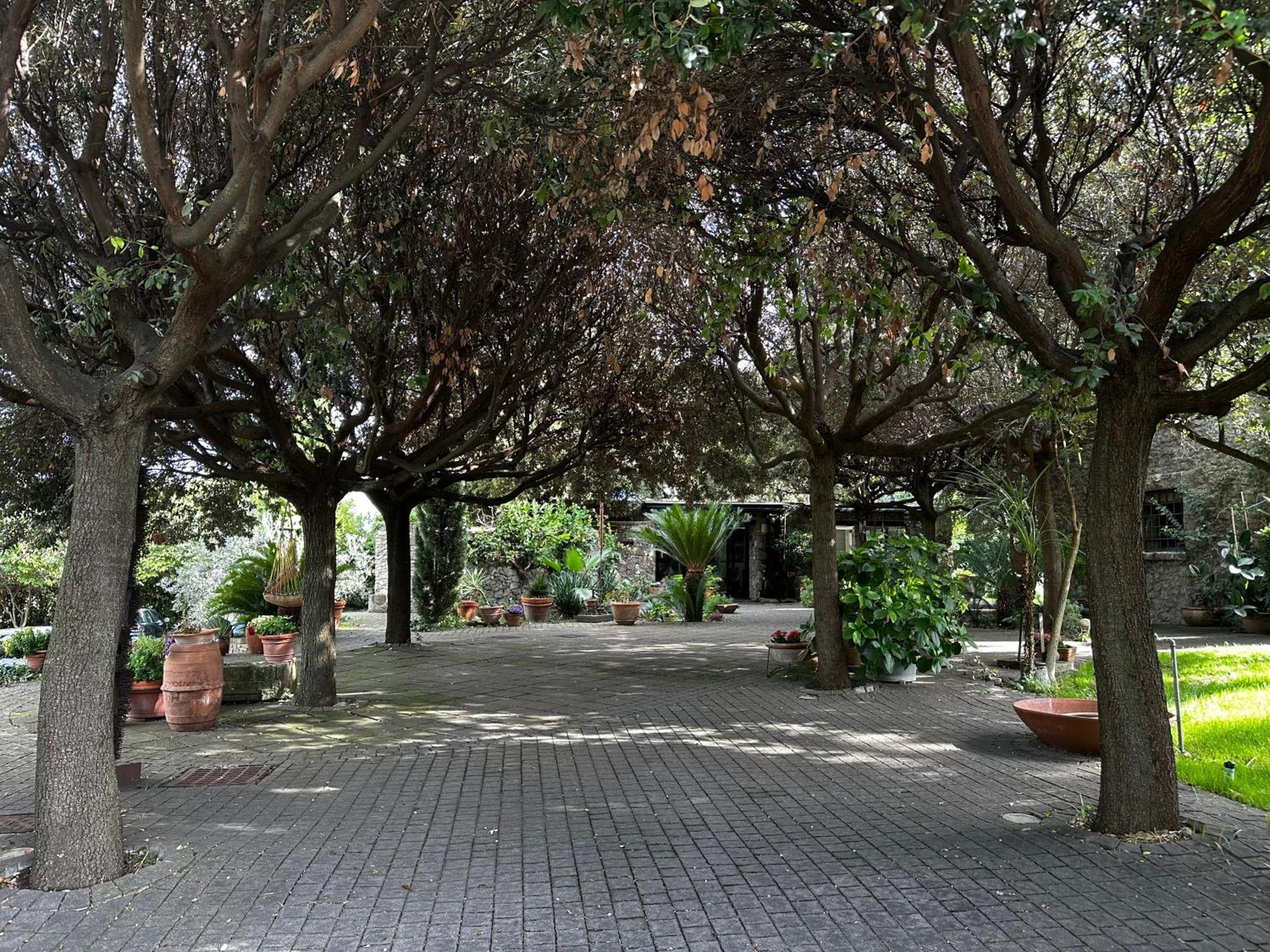 Borgo De' Paolis Apartment Grottaferrata Exterior photo